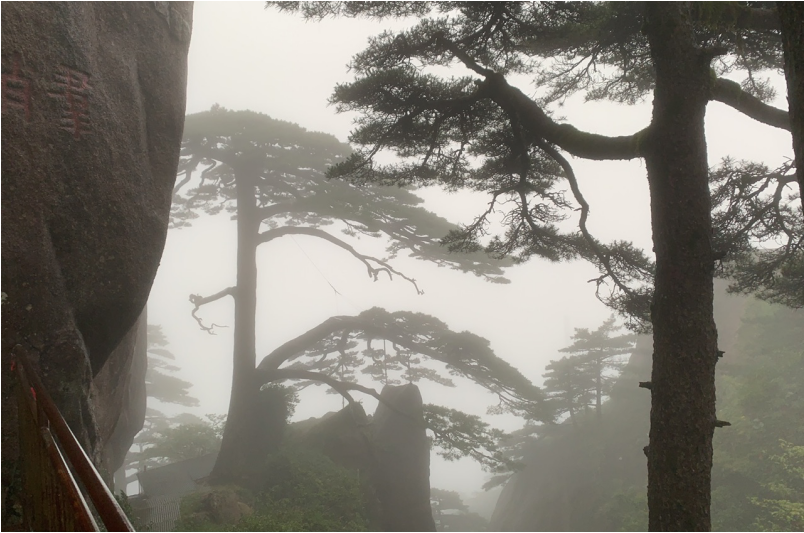 yl6809永利(中国)有限公司官网